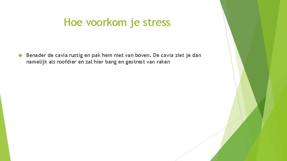 Hoe voorkom je stress Benader de cavia rustig en pak hem niet van boven.