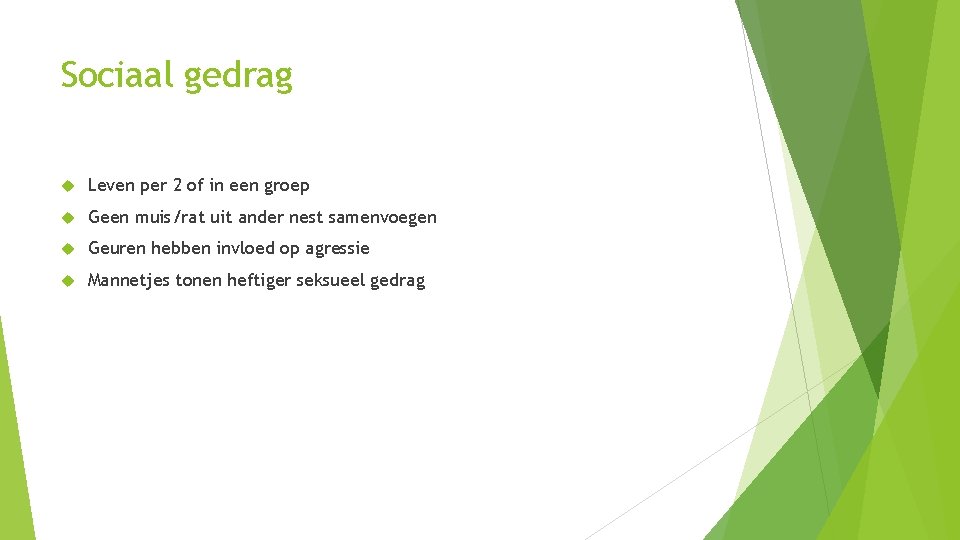 Sociaal gedrag Leven per 2 of in een groep Geen muis/rat uit ander nest