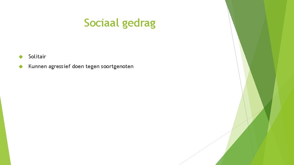 Sociaal gedrag Solitair Kunnen agressief doen tegen soortgenoten 