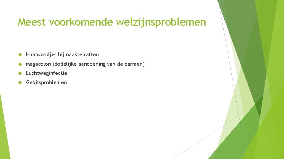 Meest voorkomende welzijnsproblemen Huidwondjes bij naakte ratten Megacolon (dodelijke aandoening van de darmen) Luchtweginfectie