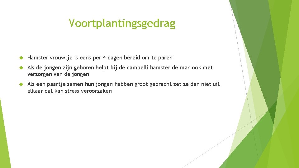 Voortplantingsgedrag Hamster vrouwtje is eens per 4 dagen bereid om te paren Als de