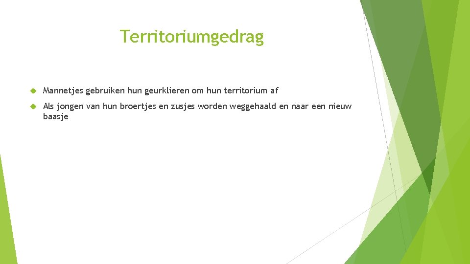 Territoriumgedrag Mannetjes gebruiken hun geurklieren om hun territorium af Als jongen van hun broertjes