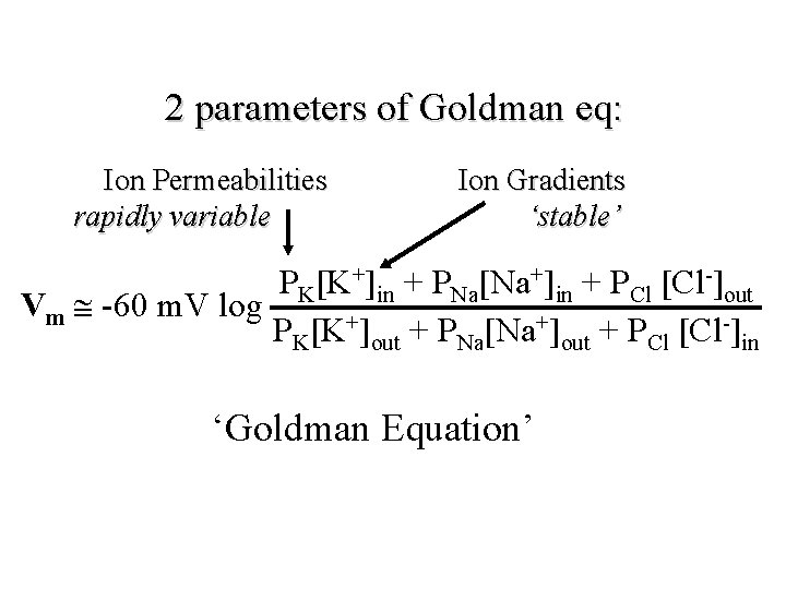 2 parameters of Goldman eq: Ion Permeabilities rapidly variable Ion Gradients ‘stable’ PK[K+]in +