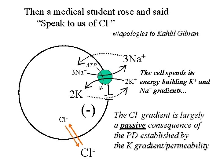 Then a medical student rose and said “Speak to us of Cl-” w/apologies to