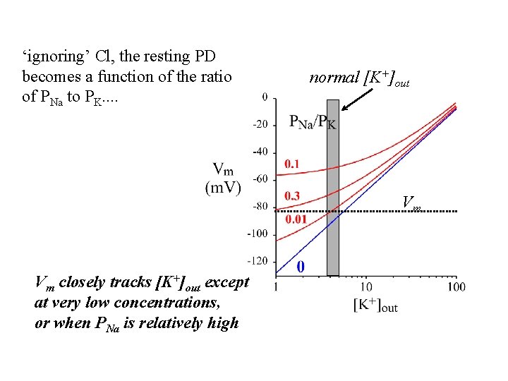 ‘ignoring’ Cl, the resting PD becomes a function of the ratio of PNa to