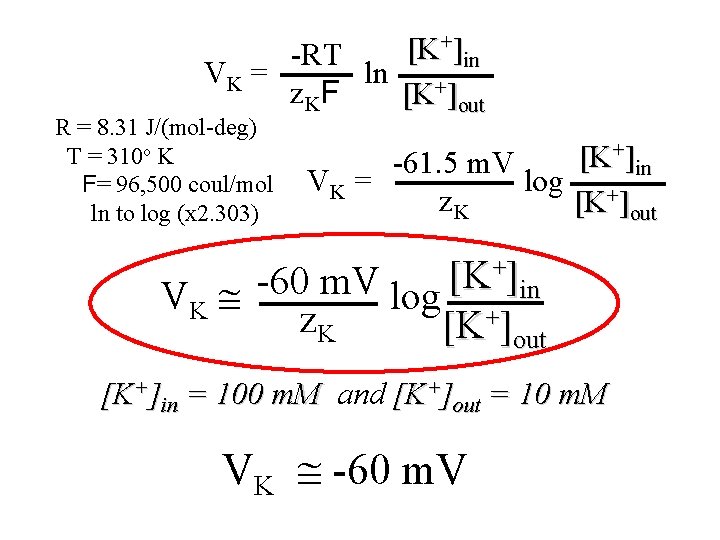 +] [K -RT in VK = ln + z KF [K ]out R =