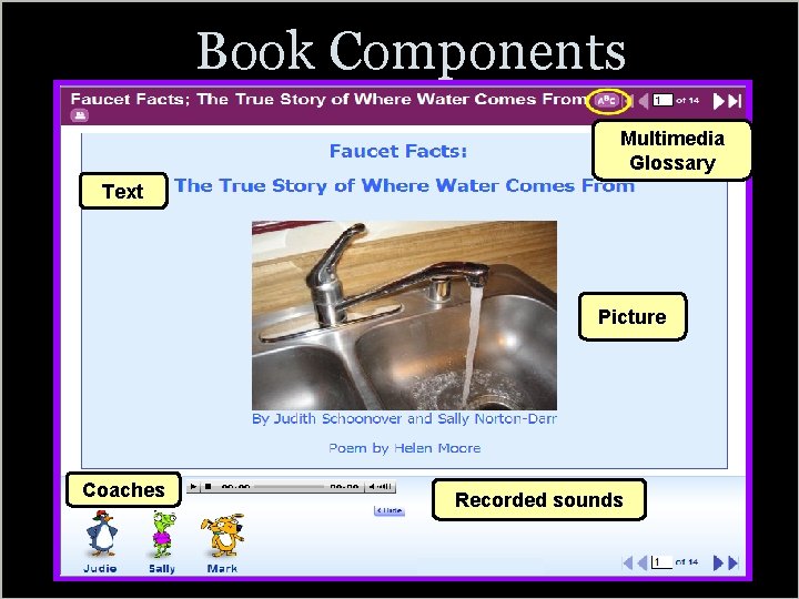 Book Components Insert Images Multimedia Glossary Text Picture Coaches Recorded sounds 