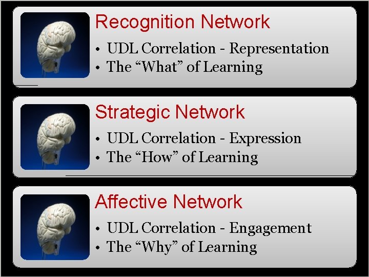 Recognition Network • UDL Correlation - Representation • The “What” of Learning Strategic Network