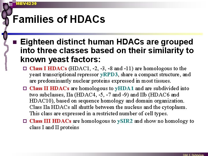 MBV 4230 Families of HDACs n Eighteen distinct human HDACs are grouped into three