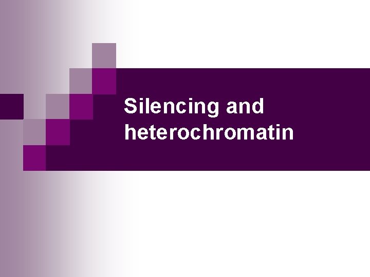 Silencing and heterochromatin 