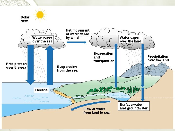 Solar heat Water vapor over the sea Net movement of water vapor by wind