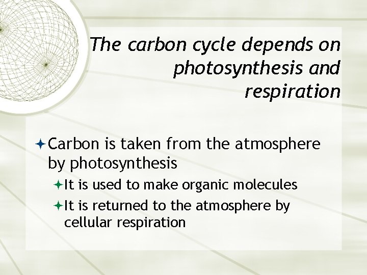 The carbon cycle depends on photosynthesis and respiration Carbon is taken from the atmosphere