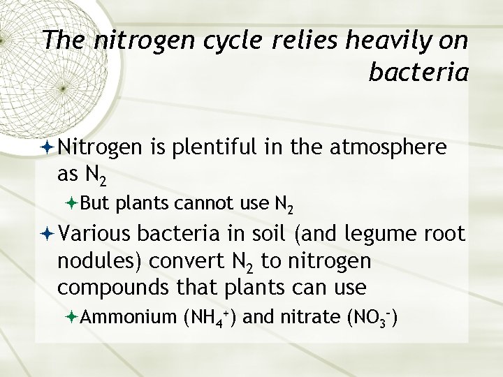 The nitrogen cycle relies heavily on bacteria Nitrogen is plentiful in the atmosphere as