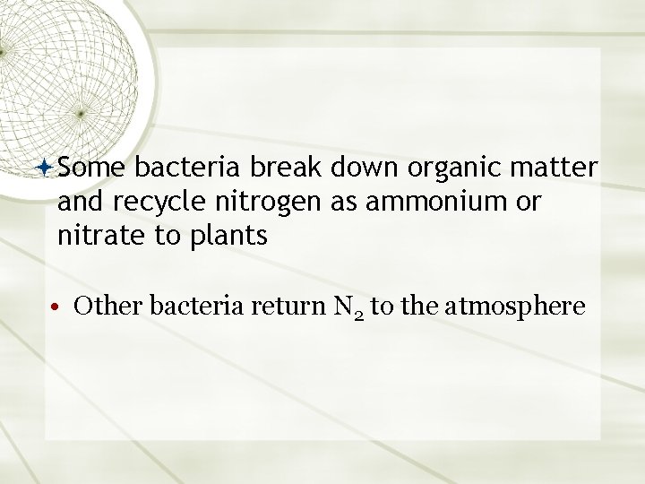  Some bacteria break down organic matter and recycle nitrogen as ammonium or nitrate