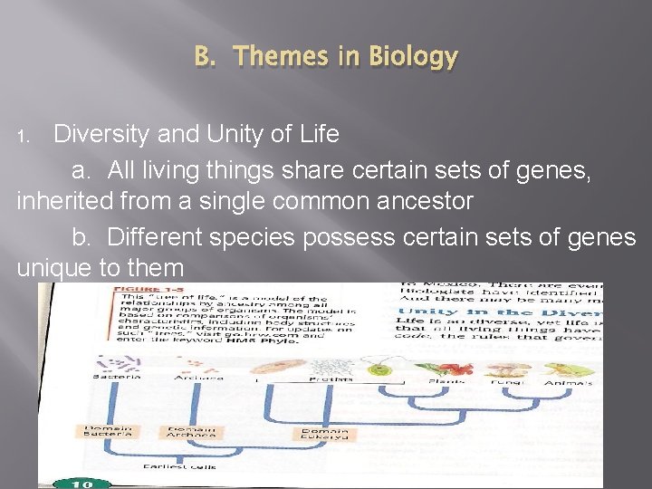 B. Themes in Biology Diversity and Unity of Life a. All living things share