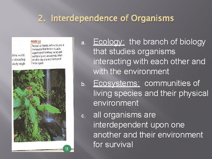 2. Interdependence of Organisms a. b. c. Ecology: the branch of biology that studies
