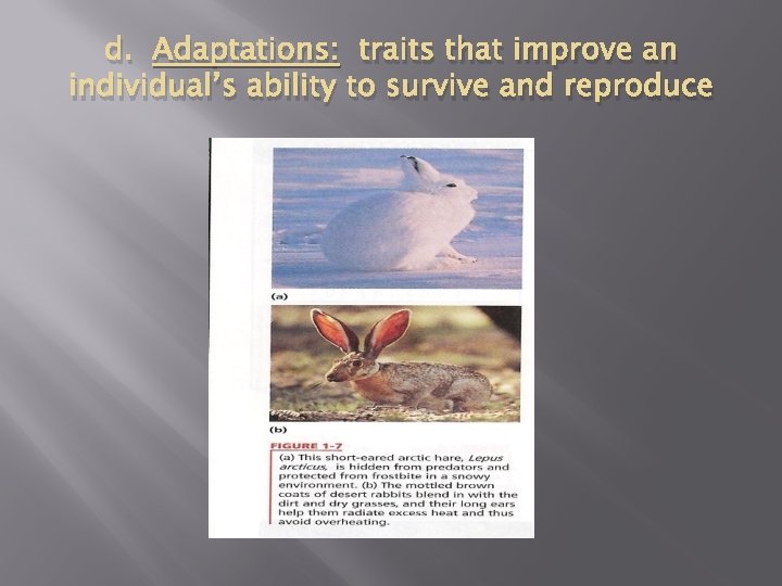 d. Adaptations: traits that improve an individual’s ability to survive and reproduce 