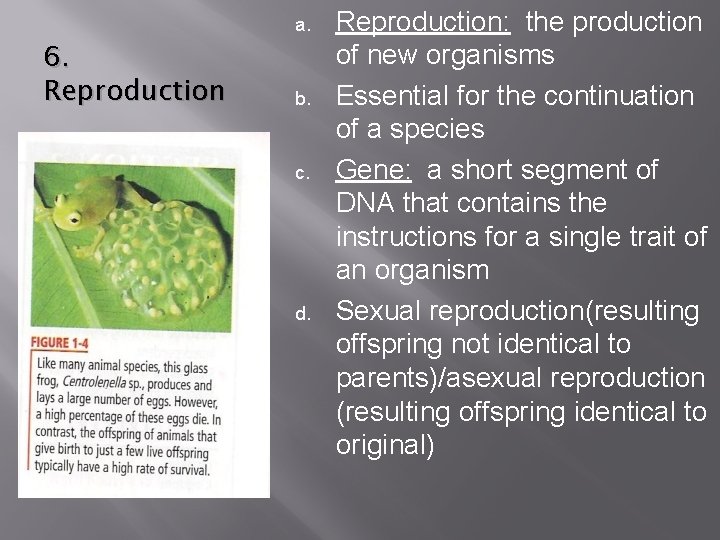 a. 6. Reproduction b. c. d. Reproduction: the production of new organisms Essential for