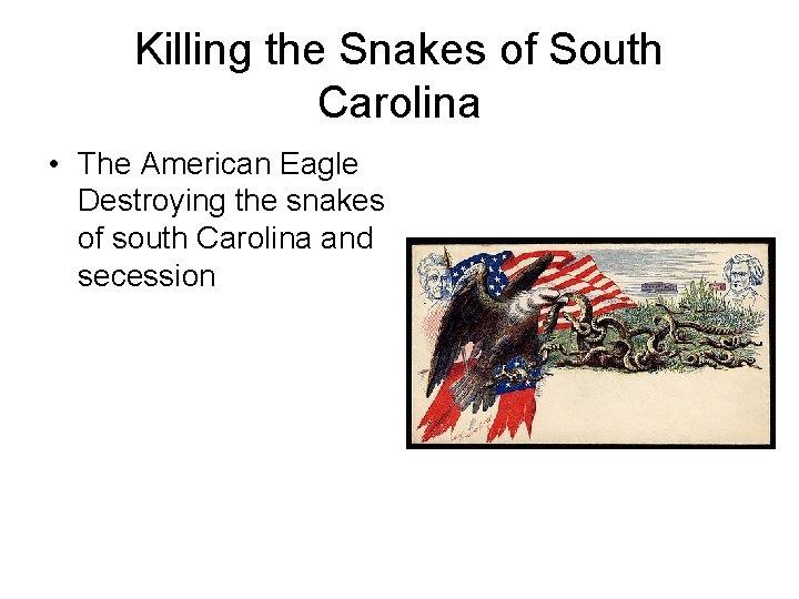 Killing the Snakes of South Carolina • The American Eagle Destroying the snakes of