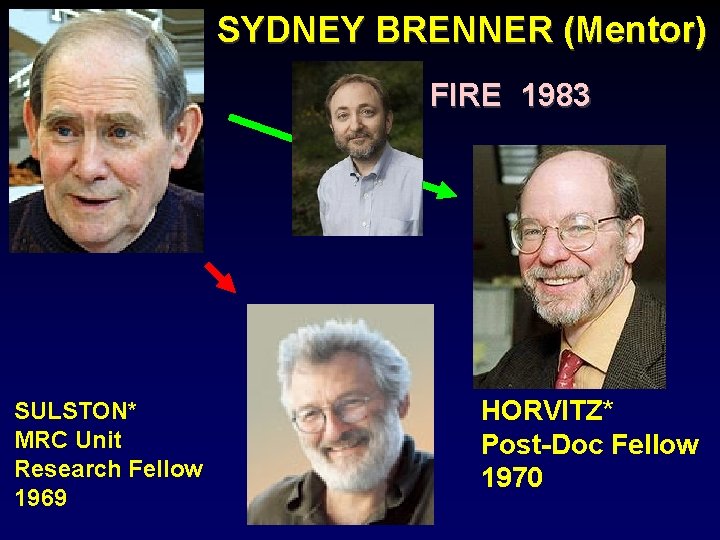SYDNEY BRENNER (Mentor) FIRE 1983 SULSTON* MRC Unit Research Fellow 1969 HORVITZ* Post-Doc Fellow