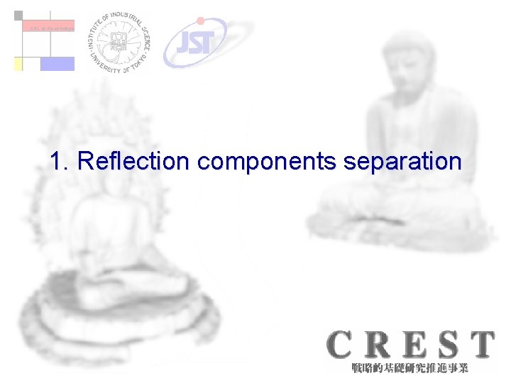 1. Reflection components separation 