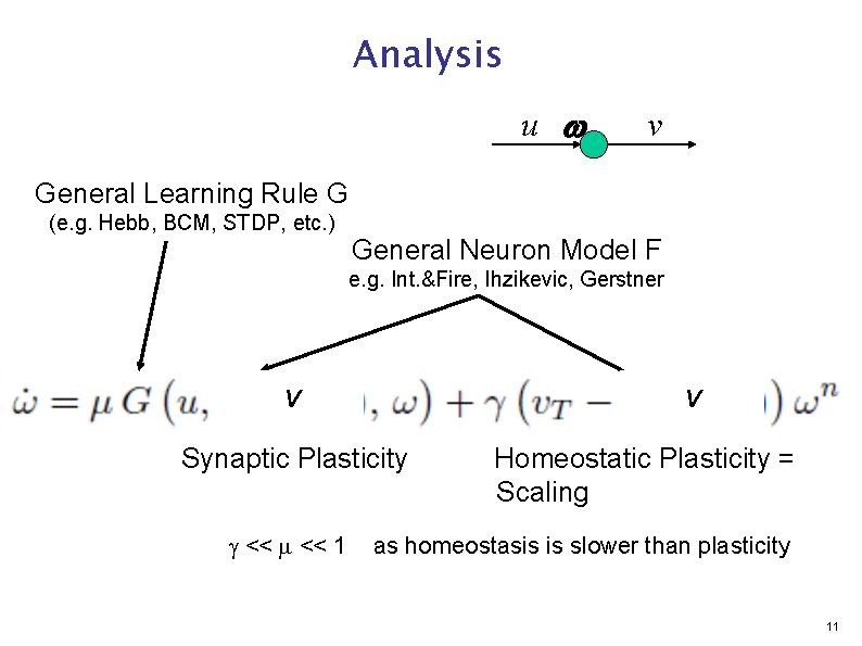 Analysis u w v General Learning Rule G (e. g. Hebb, BCM, STDP, etc.