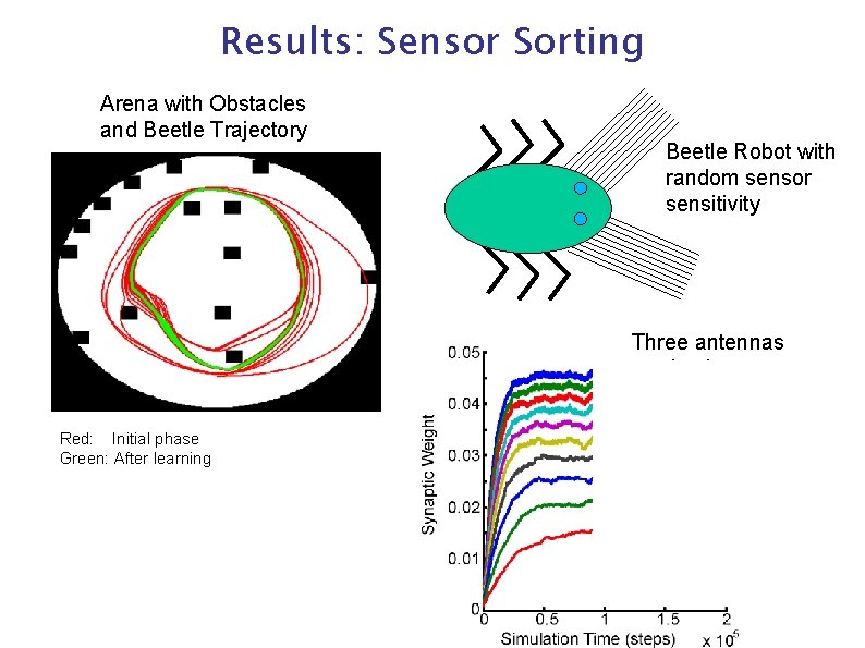Results: Sensor Sorting Arena with Obstacles and Beetle Trajectory Beetle Robot with random sensor