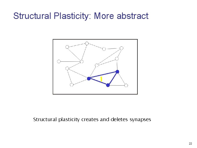 Structural Plasticity: More abstract Structural plasticity creates and deletes synapses 22 
