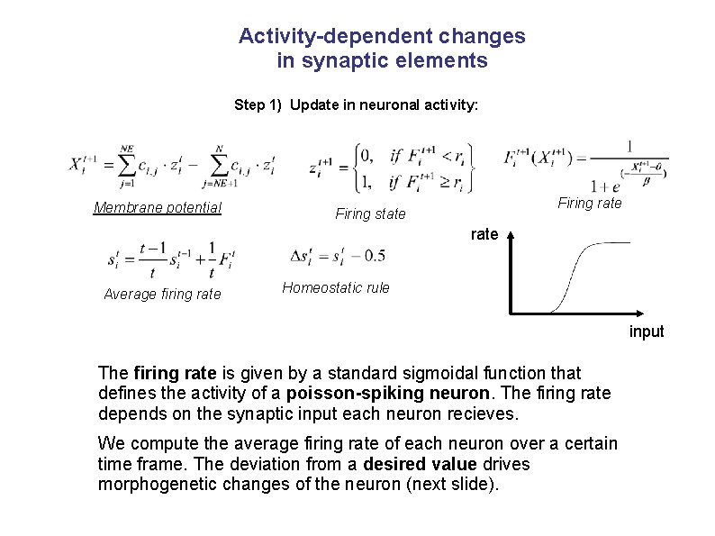 Activity-dependent changes in synaptic elements Step 1) Update in neuronal activity: Membrane potential Firing