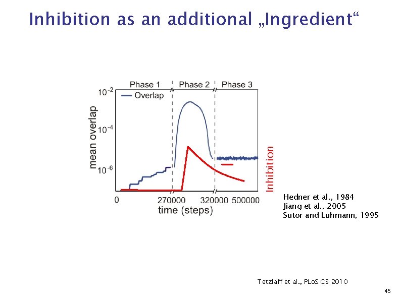 Inhibition as an additional „Ingredient“ Hedner et al. , 1984 Jiang et al. ,