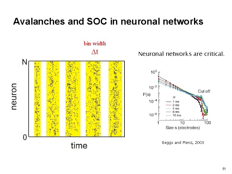 Avalanches and SOC in neuronal networks bin width ∆t Neuronal networks are critical. Beggs