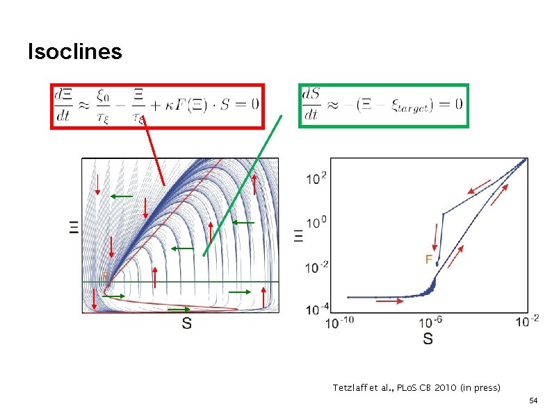 Isoclines Tetzlaff et al. , PLo. S CB 2010 (in press) 54 