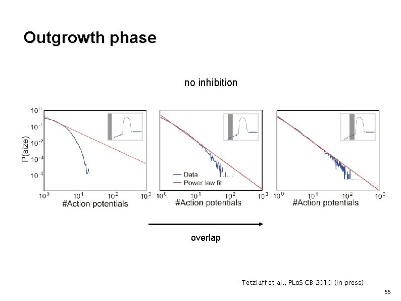 Outgrowth phase no inhibition overlap Tetzlaff et al. , PLo. S CB 2010 (in