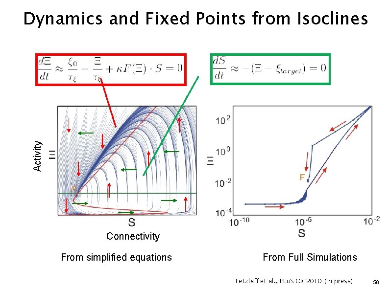 Activity Dynamics and Fixed Points from Isoclines Connectivity From simplified equations From Full Simulations