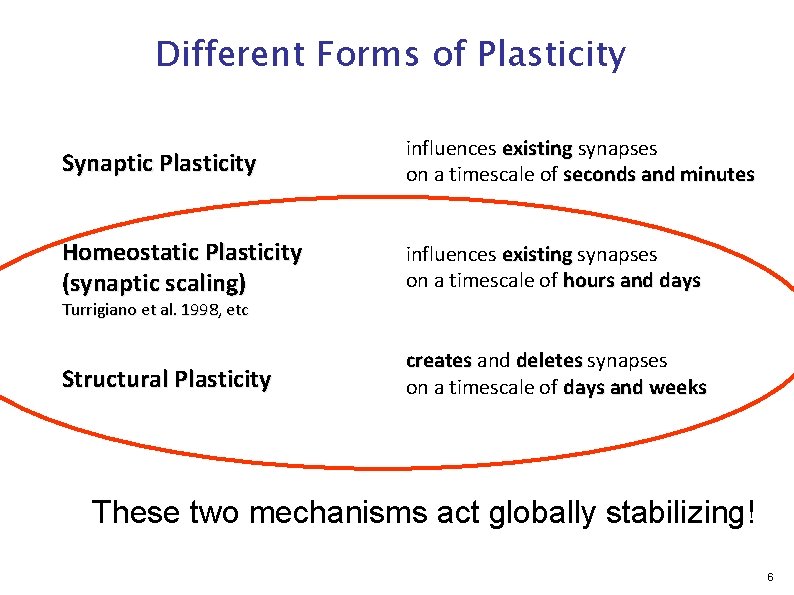 Different Forms of Plasticity Synaptic Plasticity influences existing synapses on a timescale of seconds