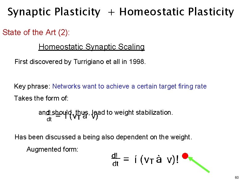 Synaptic Plasticity + Homeostatic Plasticity State of the Art (2): Homeostatic Synaptic Scaling First