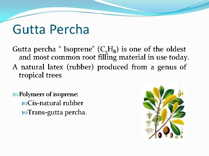 Gutta Percha Gutta percha “ Isoprene” (C 5 H 8) is one of the