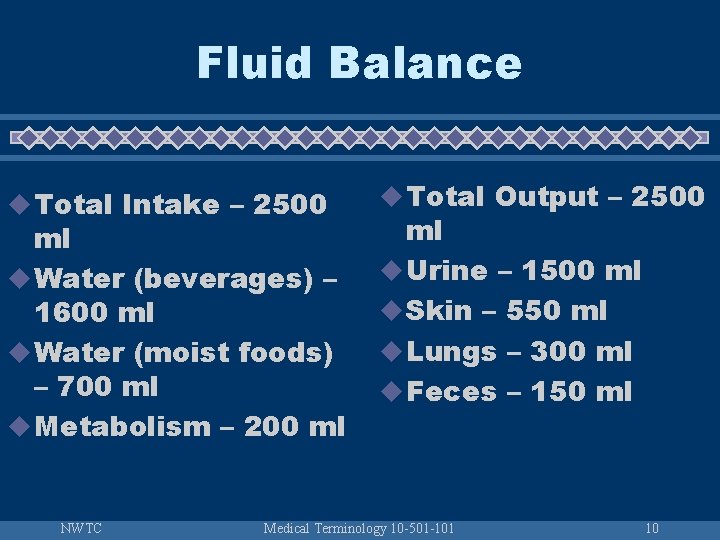Fluid Balance u Total Intake – 2500 ml u Water (beverages) – 1600 ml
