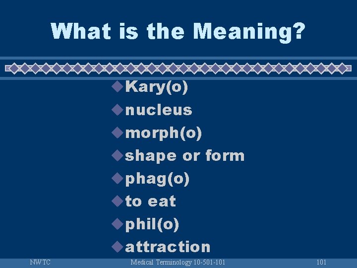 What is the Meaning? u. Kary(o) unucleus umorph(o) ushape or form uphag(o) uto eat