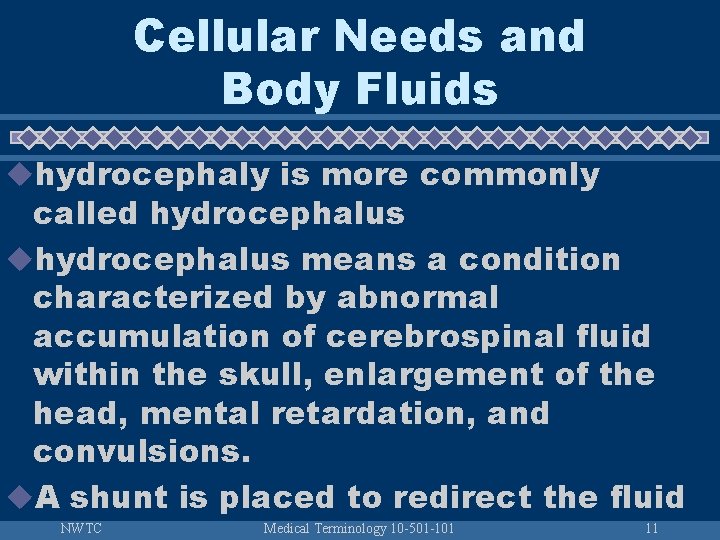 Cellular Needs and Body Fluids uhydrocephaly is more commonly called hydrocephalus uhydrocephalus means a