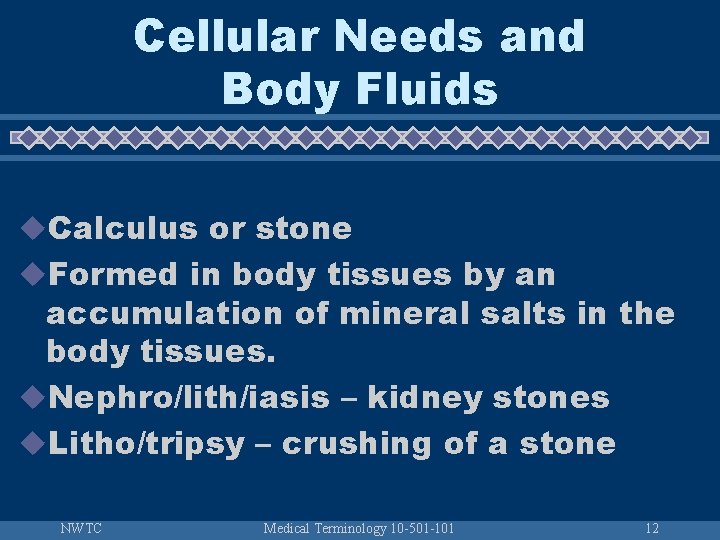 Cellular Needs and Body Fluids u. Calculus or stone u. Formed in body tissues