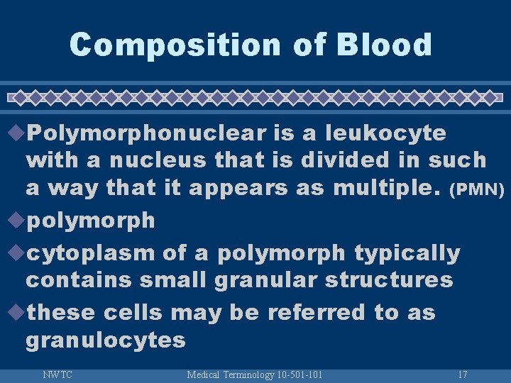 Composition of Blood u. Polymorphonuclear is a leukocyte with a nucleus that is divided