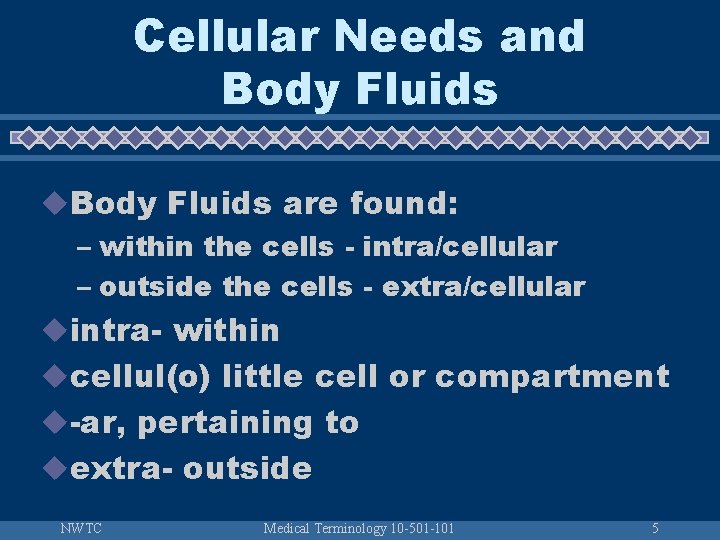 Cellular Needs and Body Fluids u. Body Fluids are found: – within the cells