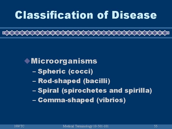Classification of Disease u. Microorganisms – Spheric (cocci) – Rod-shaped (bacilli) – Spiral (spirochetes