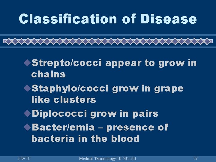 Classification of Disease u. Strepto/cocci appear to grow in chains u. Staphylo/cocci grow in