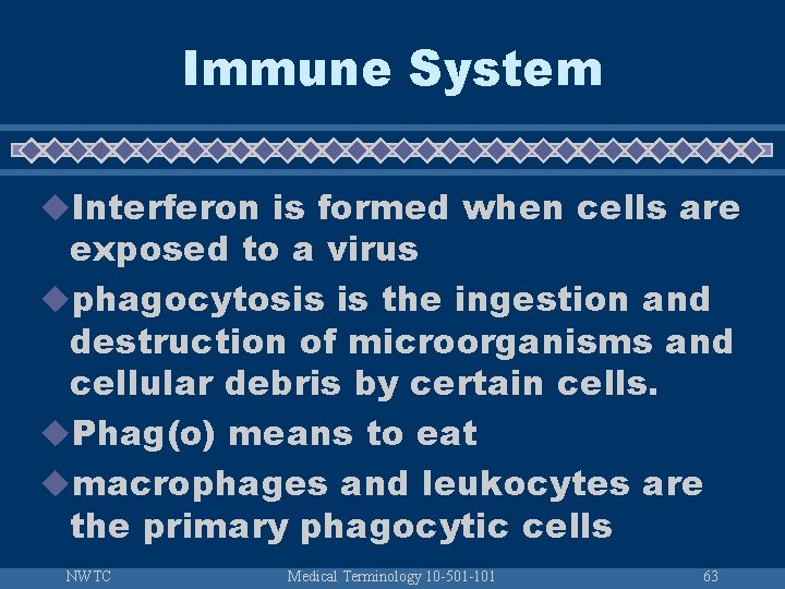 Immune System u. Interferon is formed when cells are exposed to a virus uphagocytosis