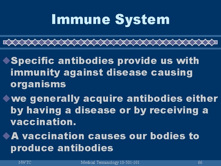 Immune System u. Specific antibodies provide us with immunity against disease causing organisms uwe