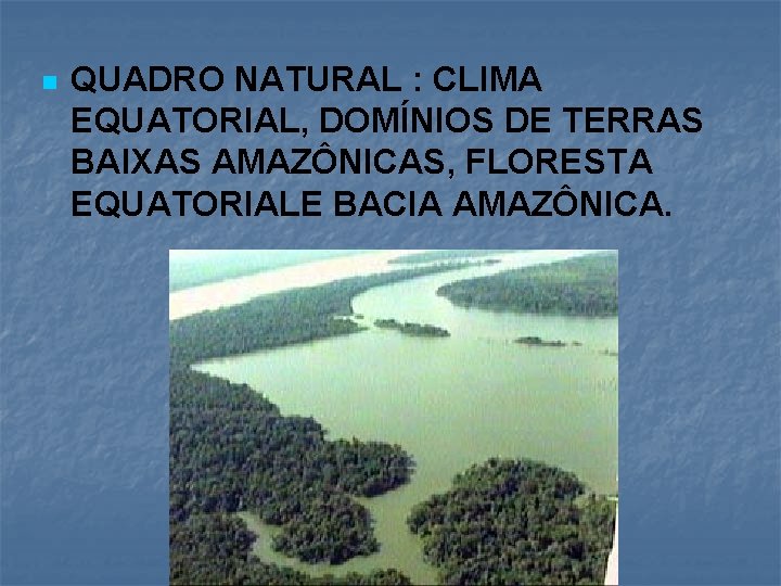 n QUADRO NATURAL : CLIMA EQUATORIAL, DOMÍNIOS DE TERRAS BAIXAS AMAZÔNICAS, FLORESTA EQUATORIALE BACIA