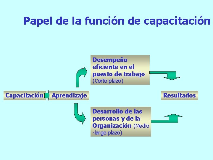 Papel de la función de capacitación Desempeño eficiente en el puesto de trabajo (Corto