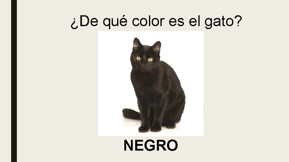 ¿De qué color es el gato? NEGRO 